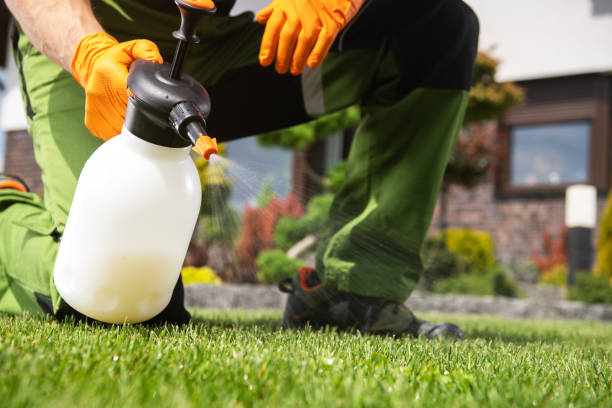 Best Best Pest Control Companies  in Goodhue, MN