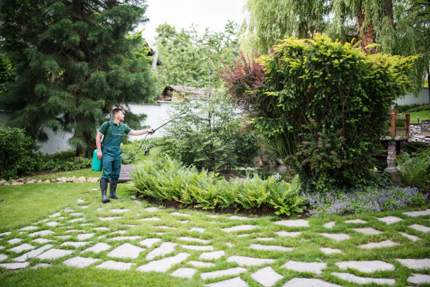 Flea Control Services in Goodhue, MN