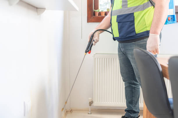 Best Ant Control Services  in Goodhue, MN