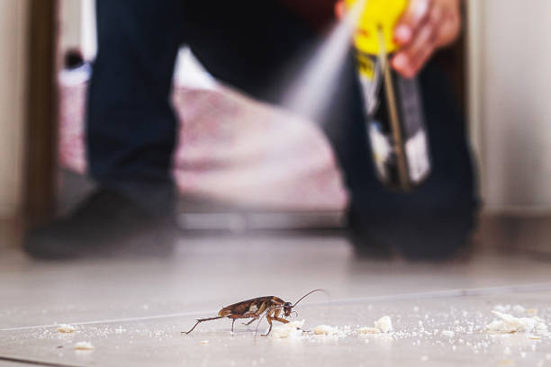 Best Best Pest Control Companies  in Goodhue, MN