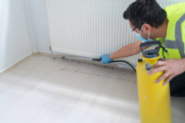 Best Pest Prevention Services  in Goodhue, MN