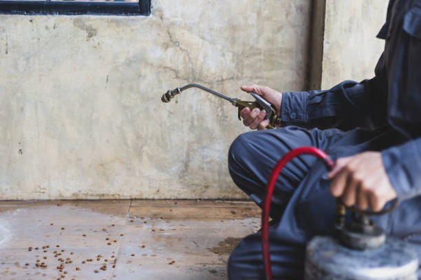 Best Residential Pest Control  in Goodhue, MN