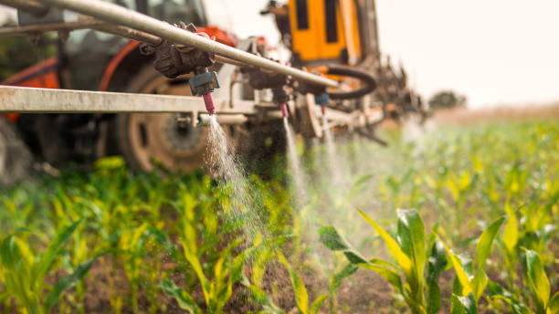Best Local Pest Control Services  in Goodhue, MN