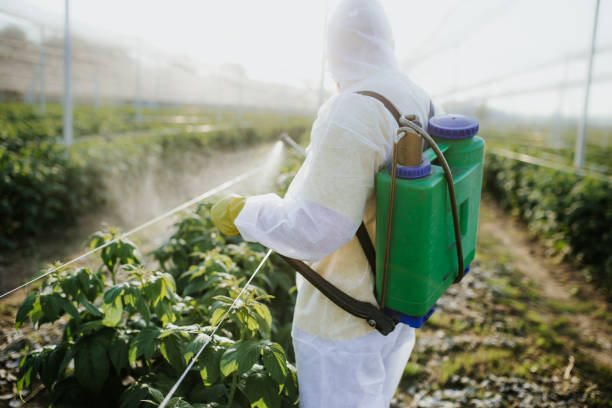  Goodhue, MN Pest Control Pros